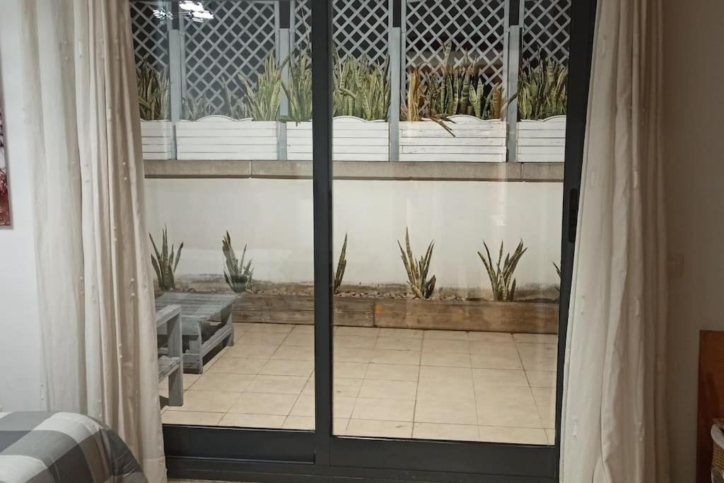 דירות ולנסיה Atico En Paiporta Con 2 Grandes Terrazas מראה חיצוני תמונה